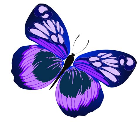 kulambo clipart|Butterfly Clip Art Images .